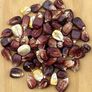 Bloody Butcher, Corn Seed - Packet (1 oz.) thumbnail number null